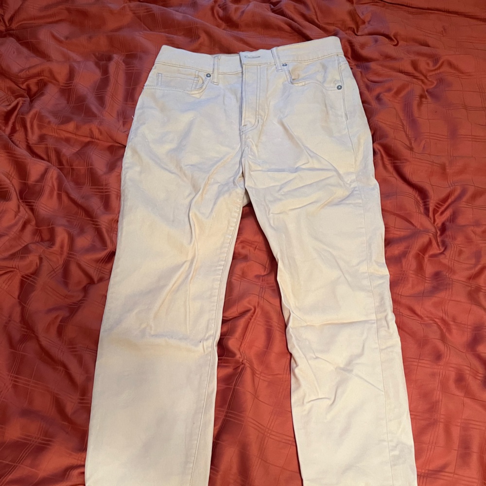We the Free Faux Suede Velvet Cream Pants